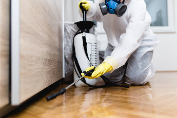 Best Flea Control Services  in Noblesville, IN