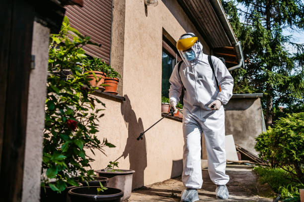 Best Rat Extermination Near Me  in Noblesville, IN
