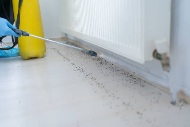 Best Pest Prevention Services  in Noblesville, IN